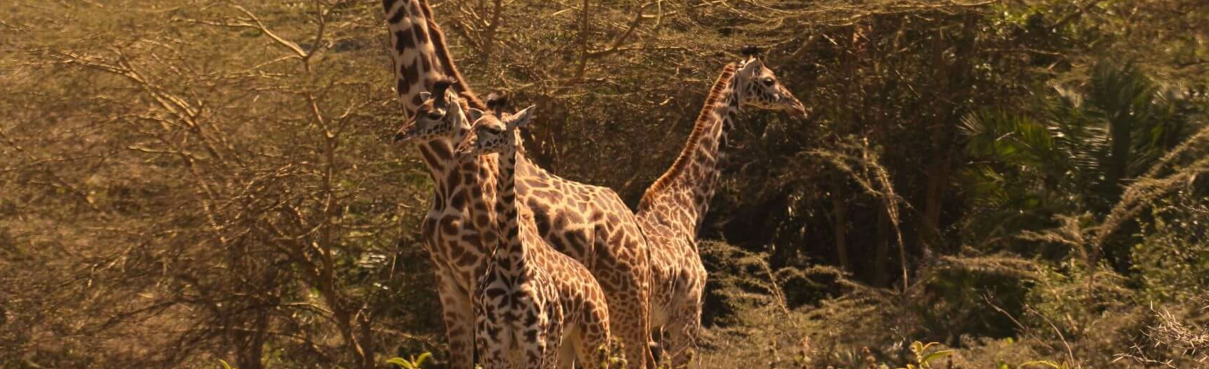 Arusha-Nationalpark
