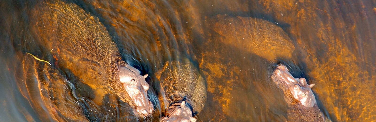 Botswana