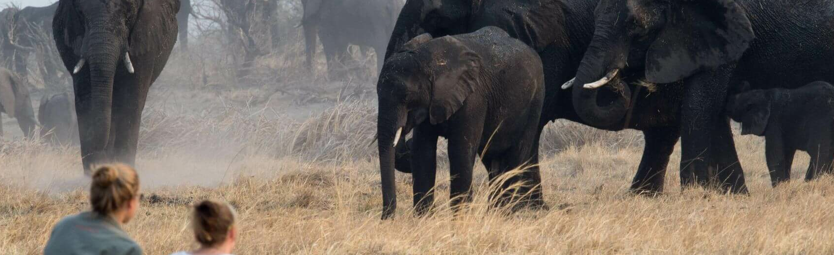 Caprivi-Zipfel