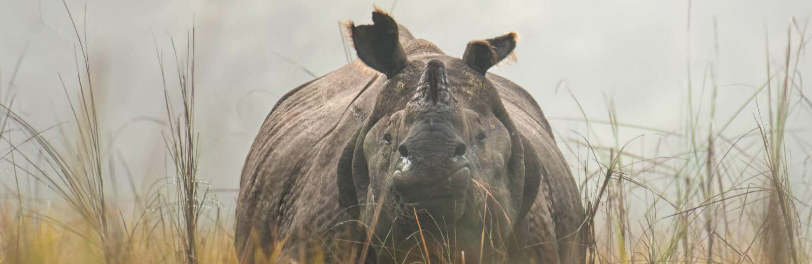 Chitwan-Nationalpark