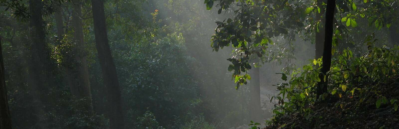 Corbett Tiger Reserve
