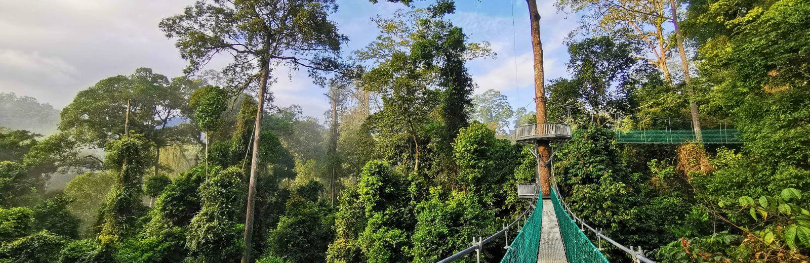 Danum Valley