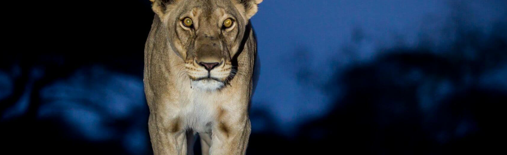 Etosha
