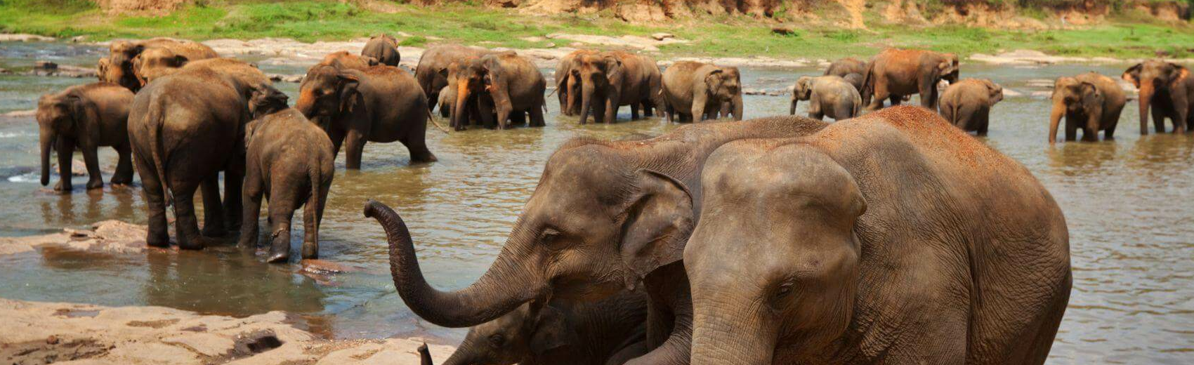 Gal Oya Nationalpark