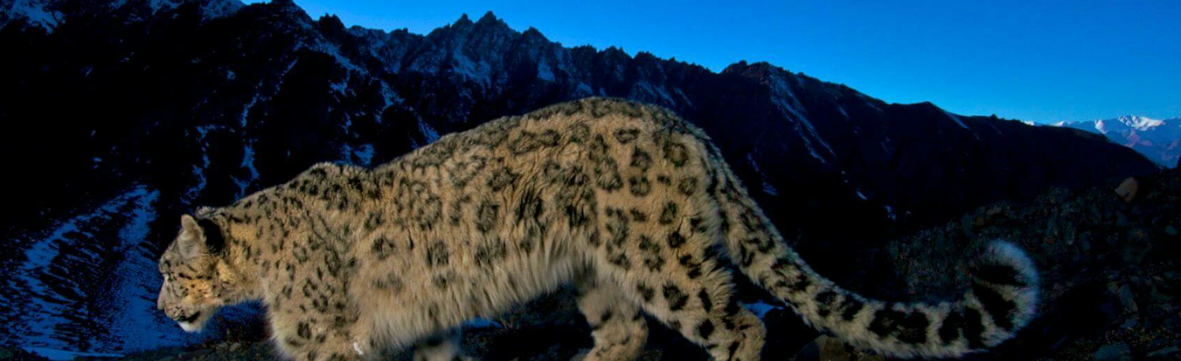 Hemis Nationalpark