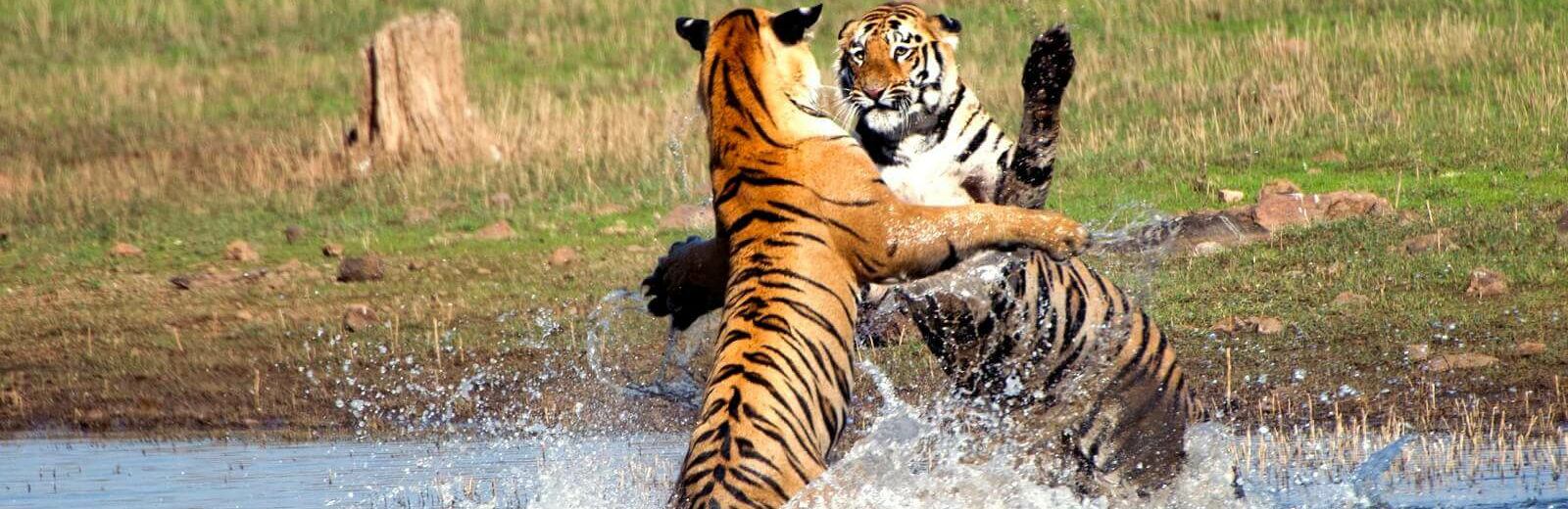 Indien