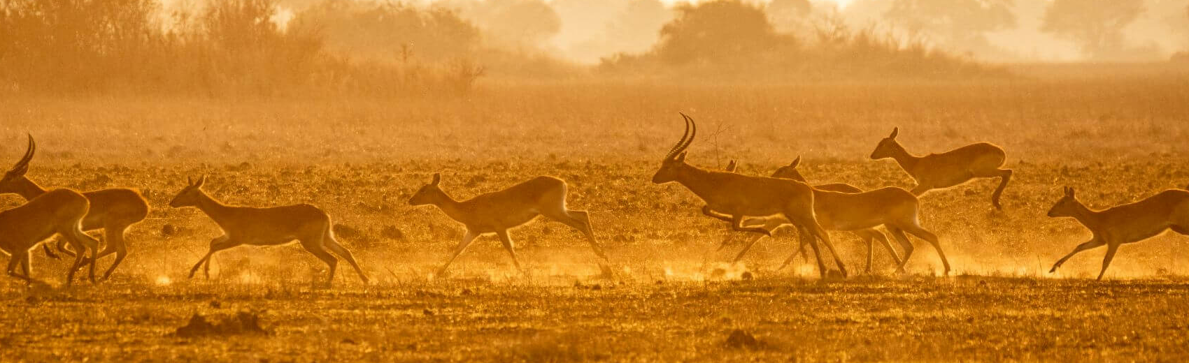 Kafue Nationalpark