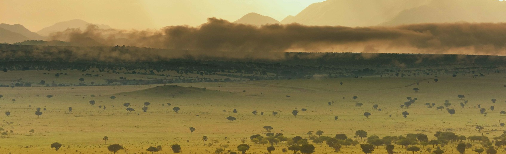 Uganda Kidepo Safari