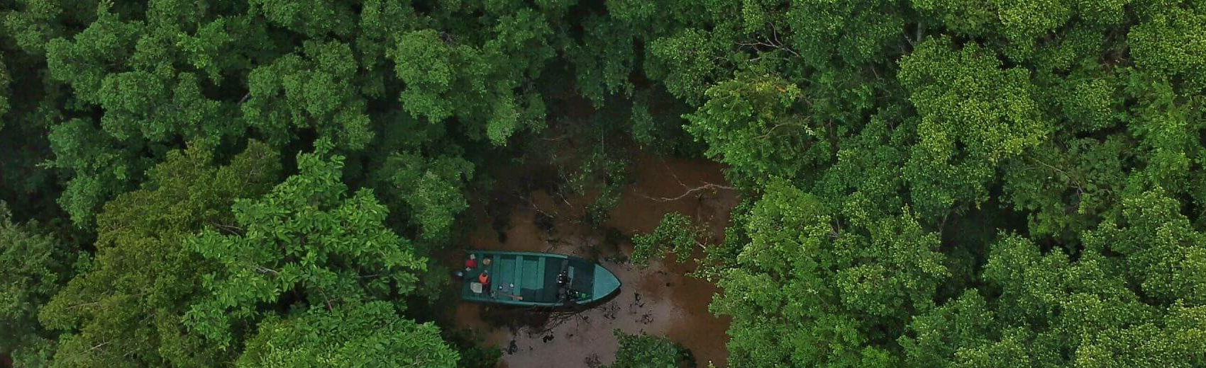 Borneo: Bergsteigen, Orang-Utans und Schnorcheln