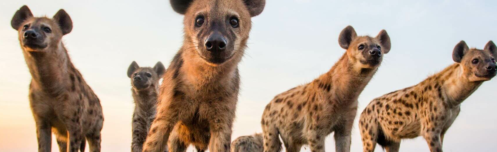 Liuwa Plain Nationalpark