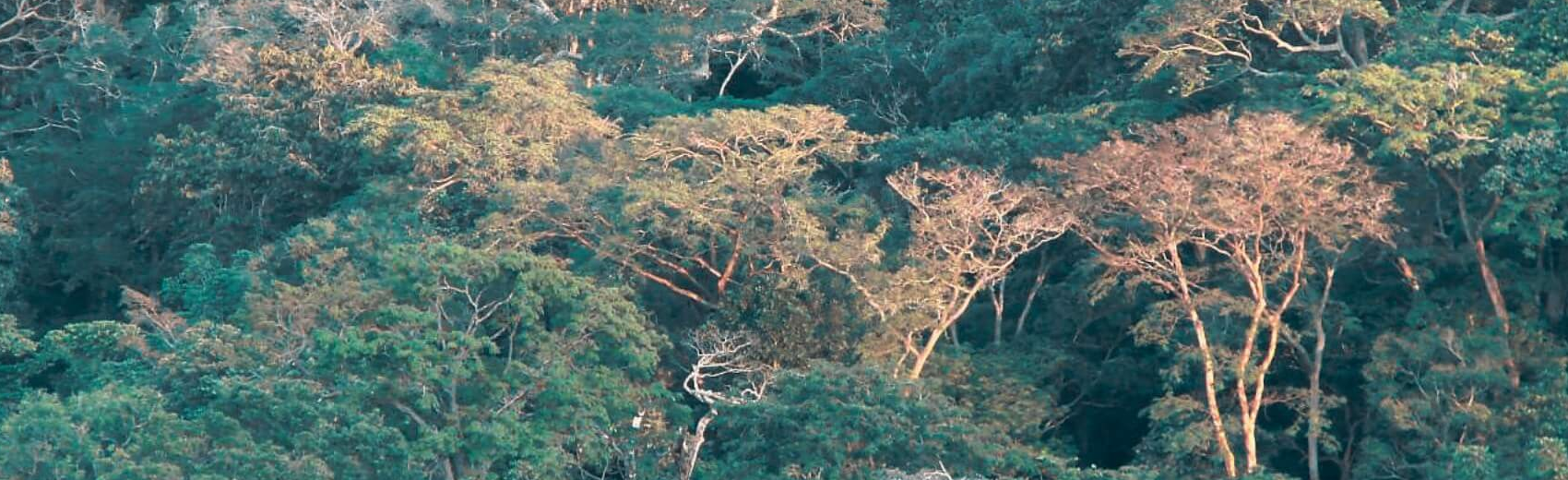Lope Nationalpark