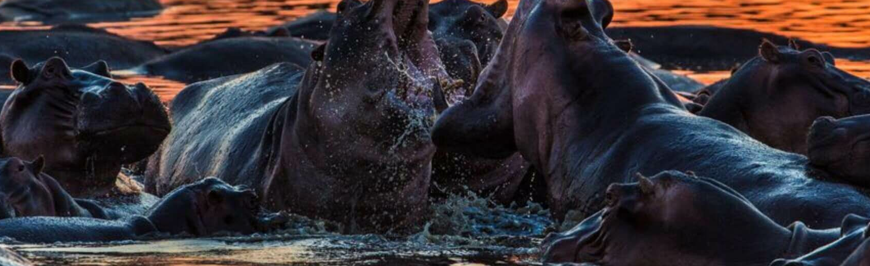 Luambe Nationalpark