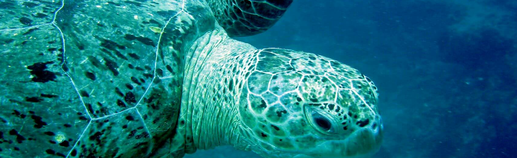 Maratua Atoll