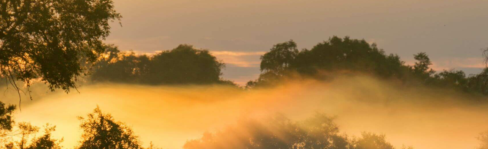 Moremi Game Reserve
