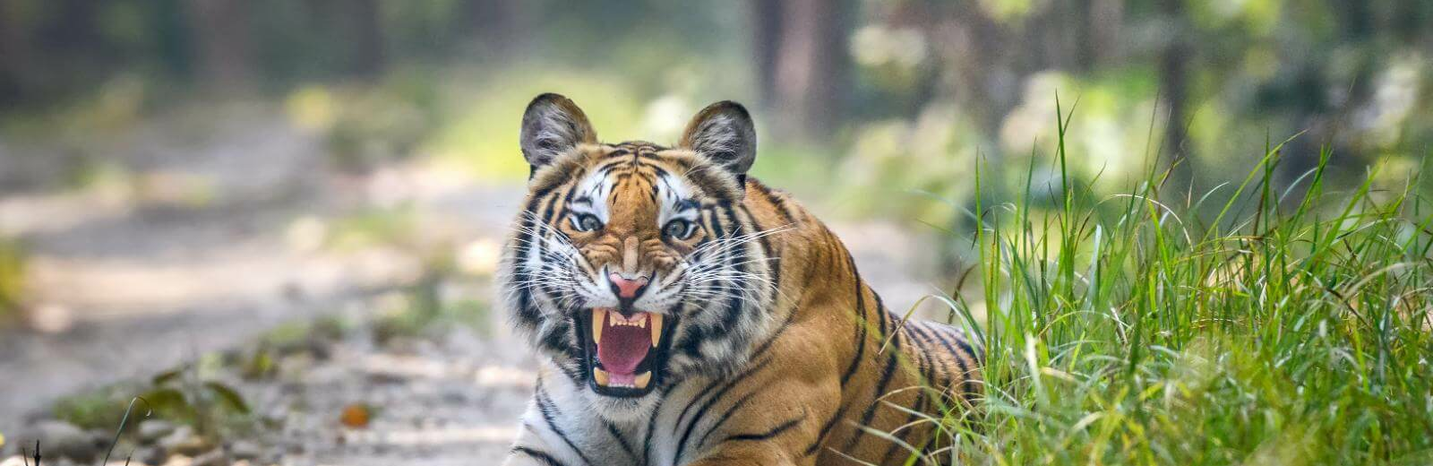Nepal