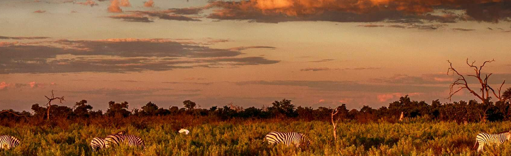 Nxai Nationalpark
