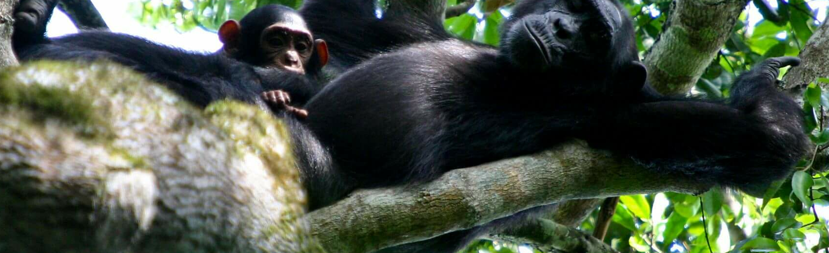 Semliki Reserve