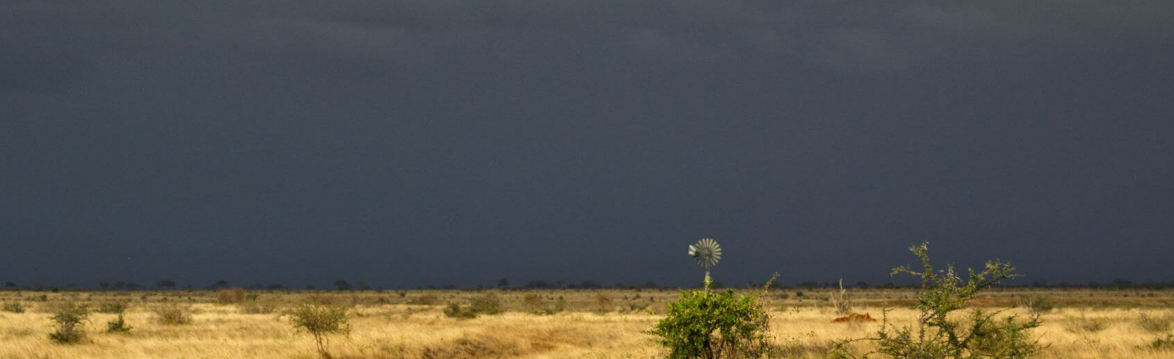 Tsavo Ost