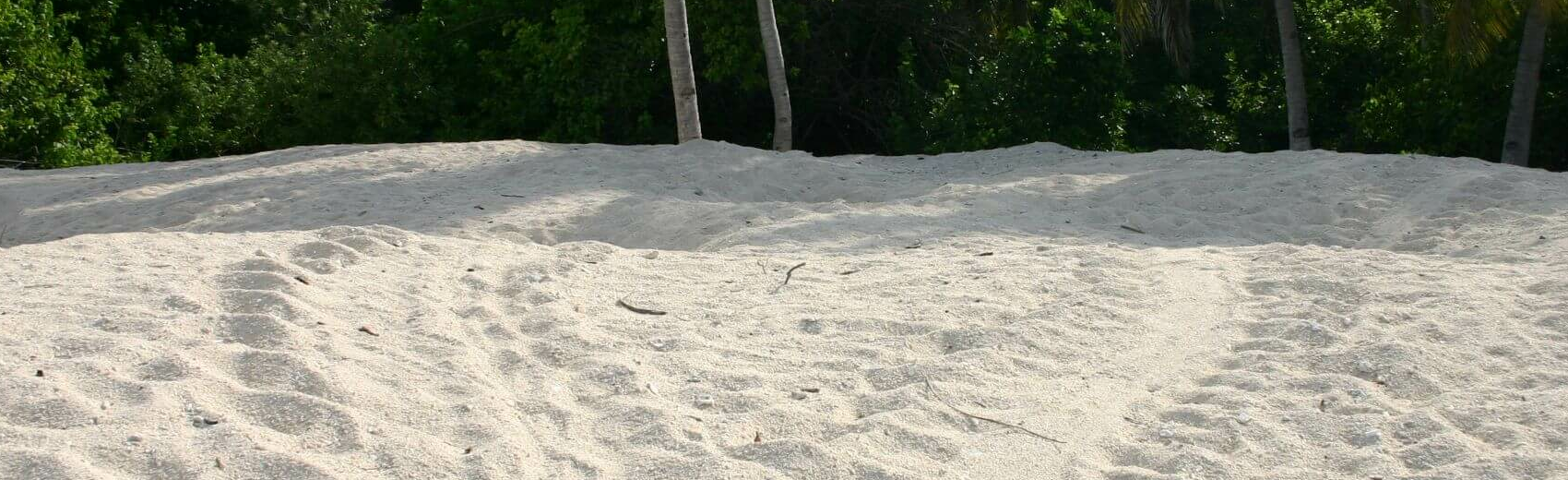 Turtle Island