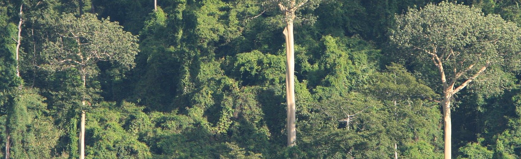 Udzungwa Nationalpark