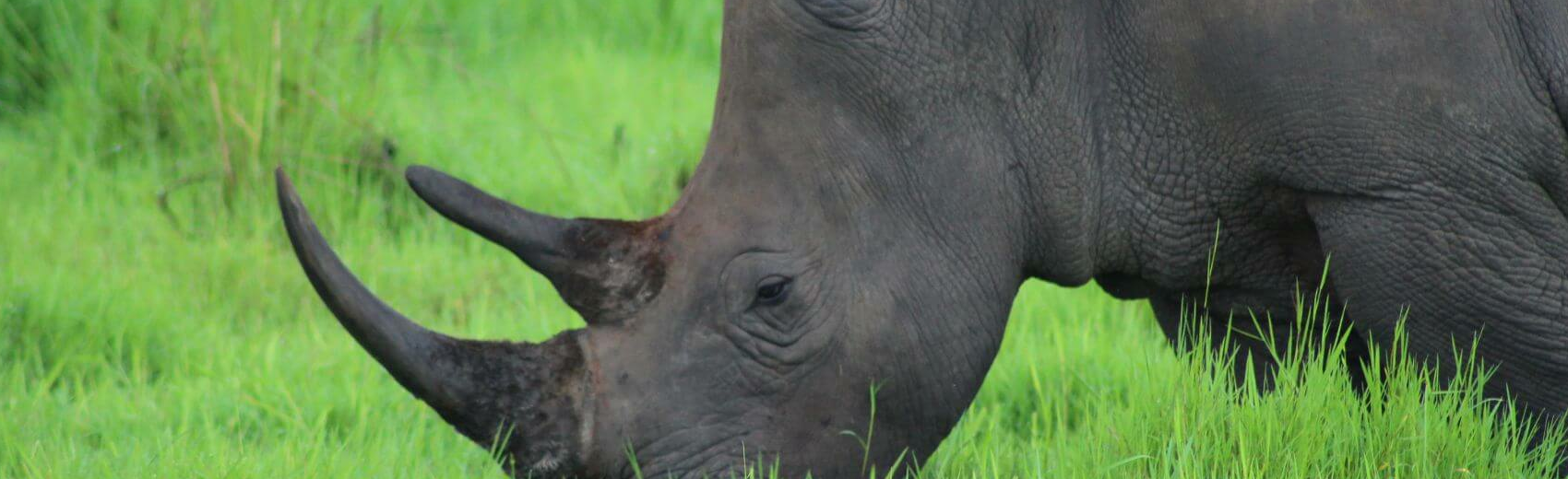 Ziwa Rhino Sanctuary