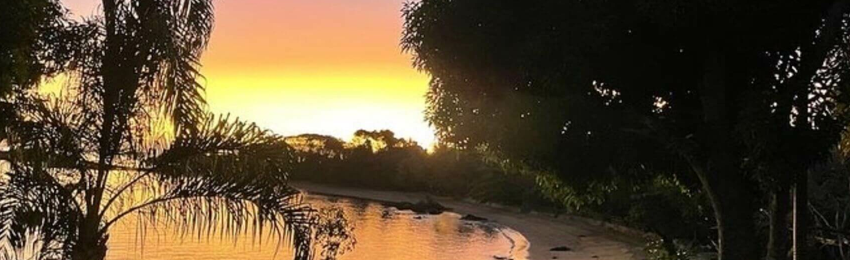 293 On Nosy Komba