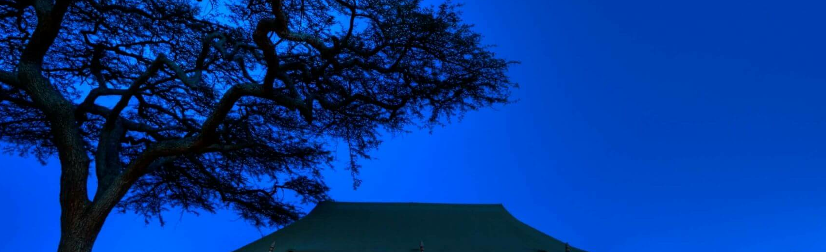 Asanja Camp