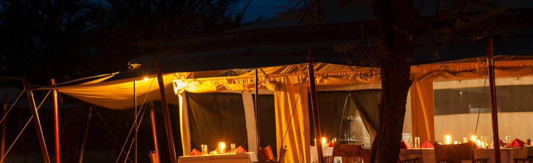 Bologonya Under Canvas