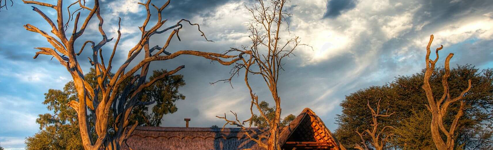 Bomani Tented Lodge