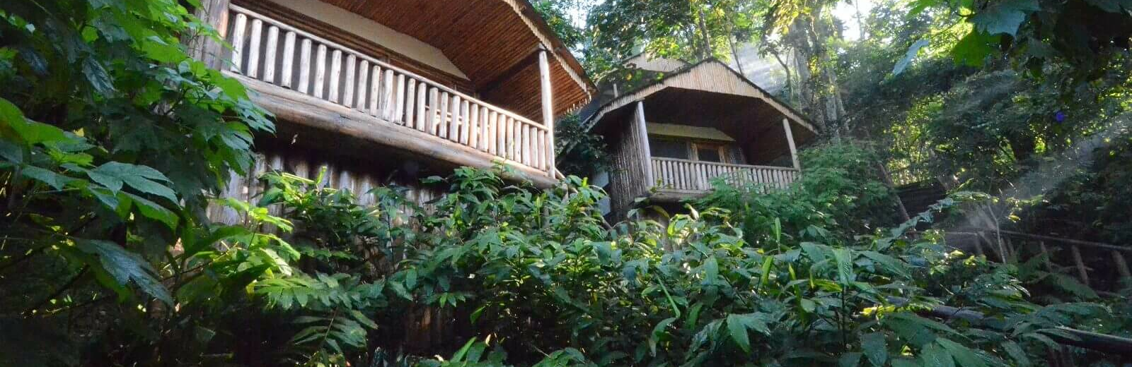 Buhoma Lodge