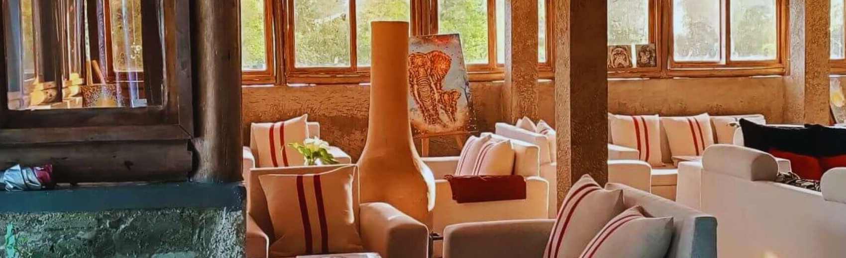 Da Vinci Gorilla Lodge