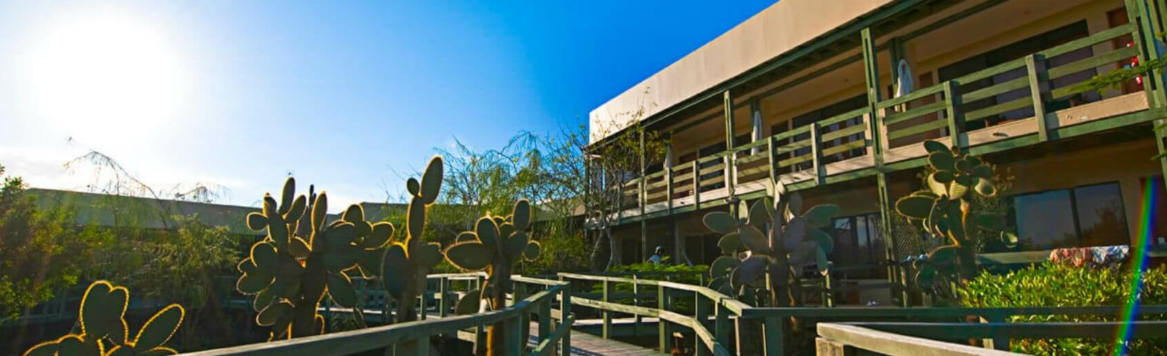 Finch Bay Hotel