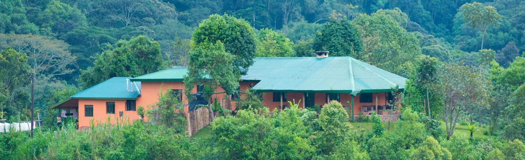 Gorilla Valley Lodge