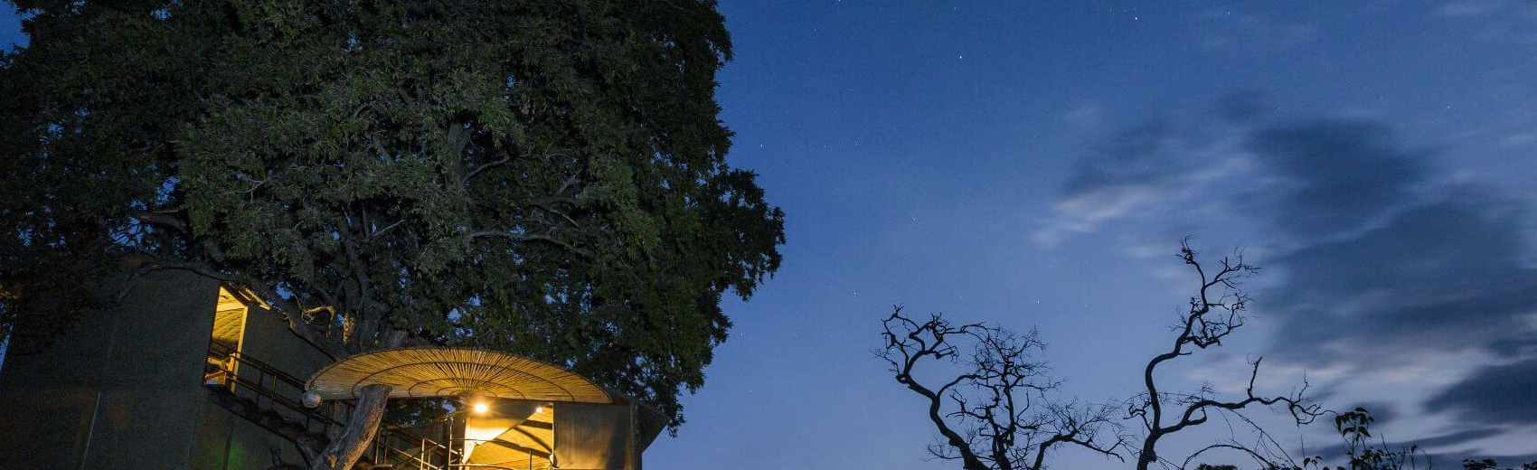 Jackalberry Tented Camp