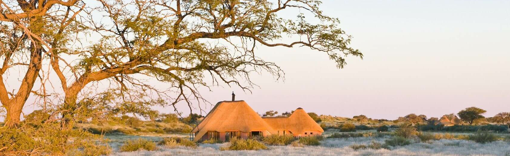 Kalahari Red Dunes