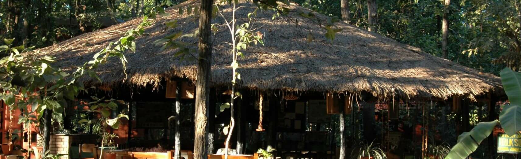 Kanha Jungle Lodge