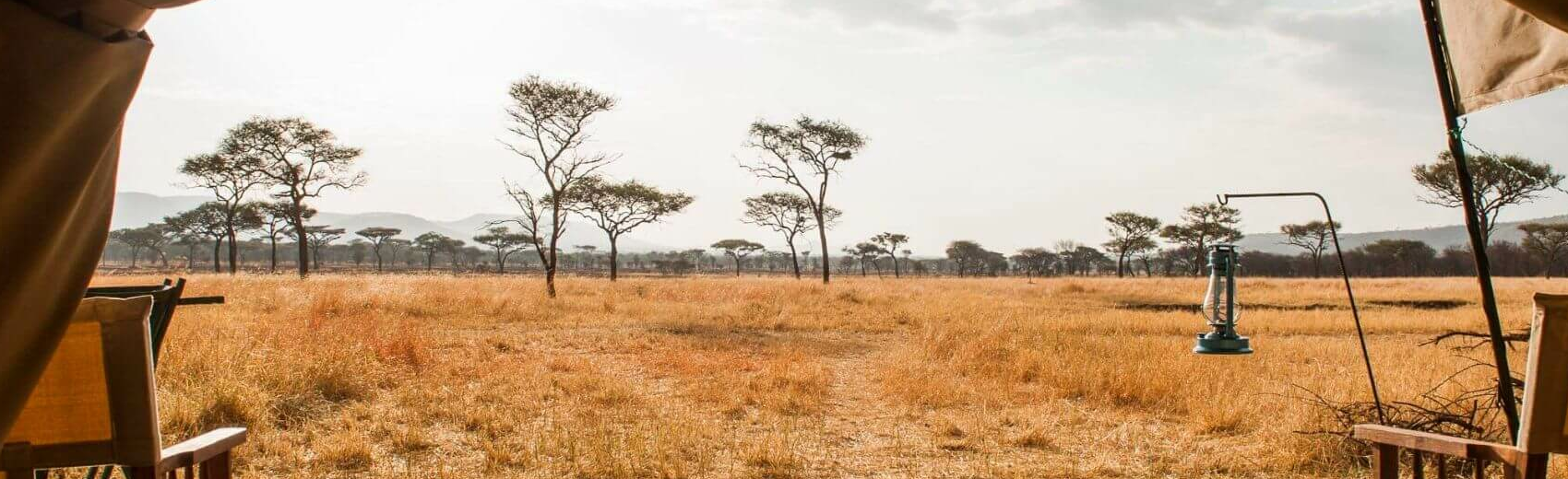 Kati Kati Mara Camp