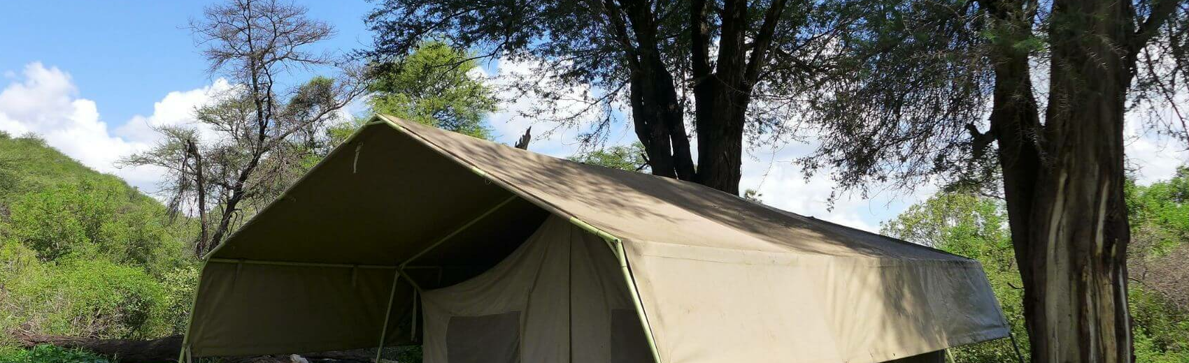 Lion King Bush Camp