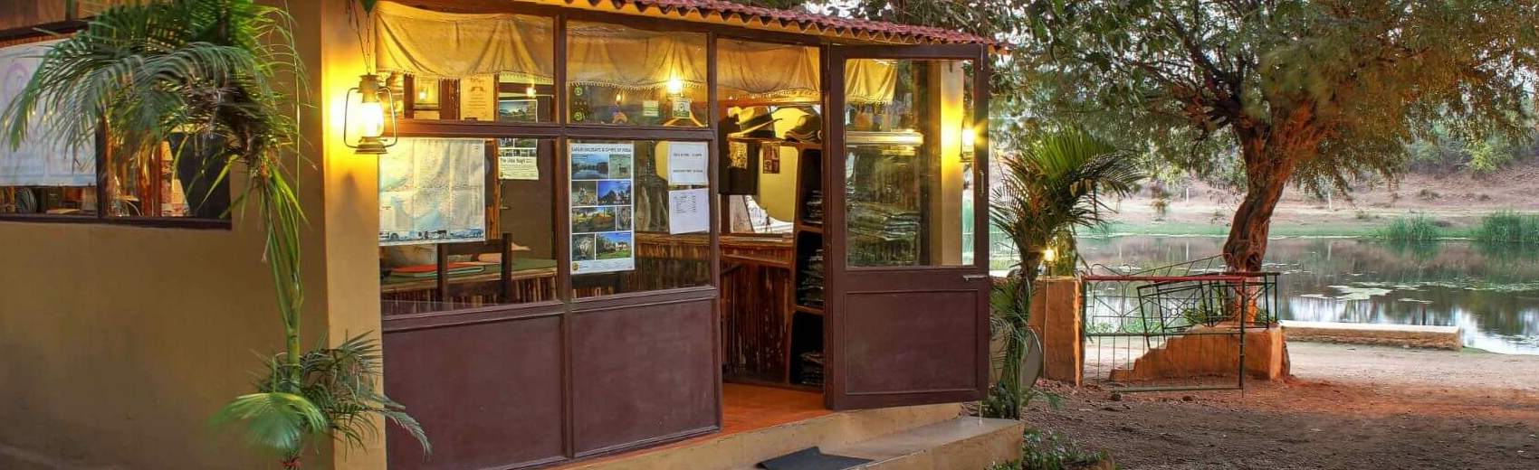 Lion Safari Camp
