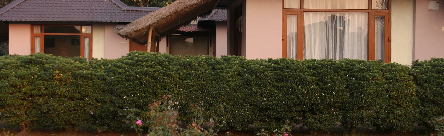 Musa Jungle Retreat