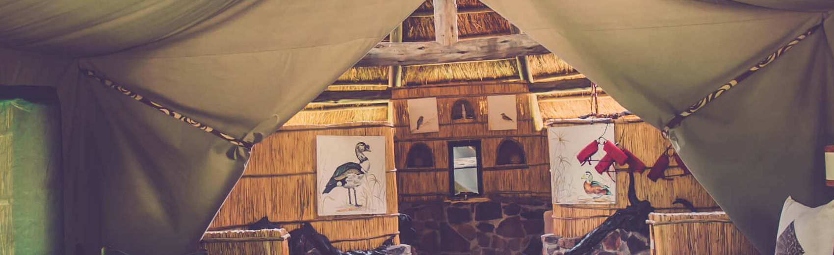 Mwagusi Safari Camp