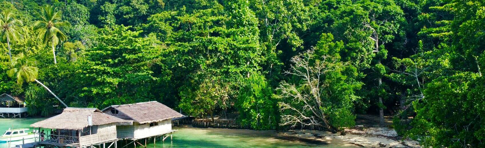 PapuArts Alternative Stay