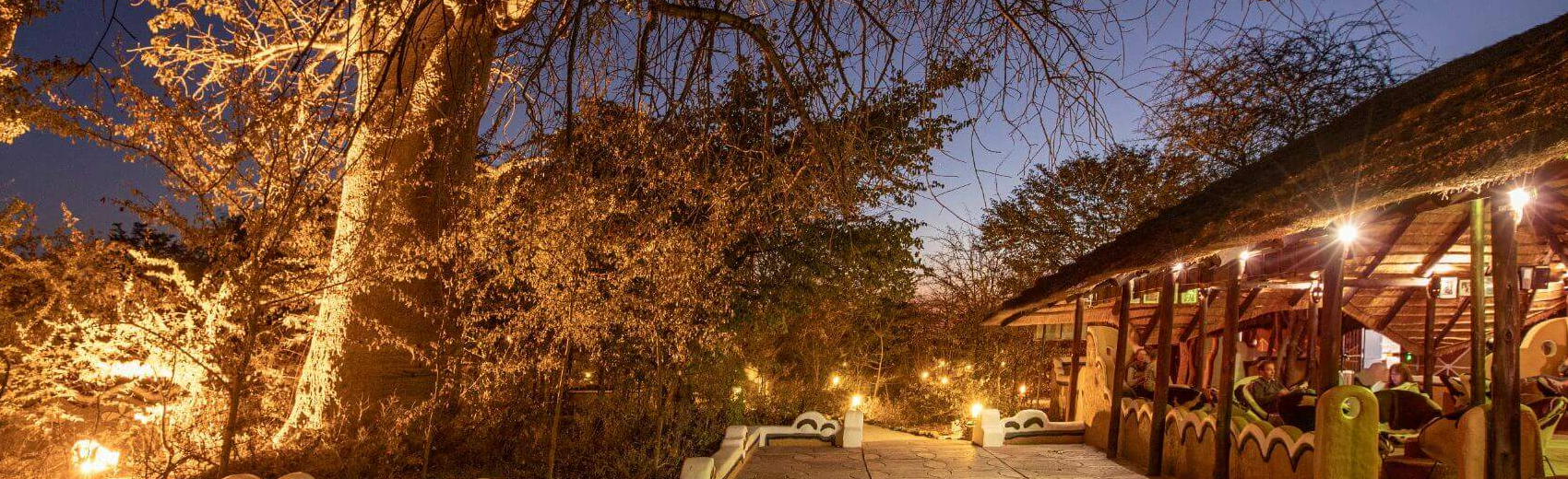 Planet Baobab Lodge