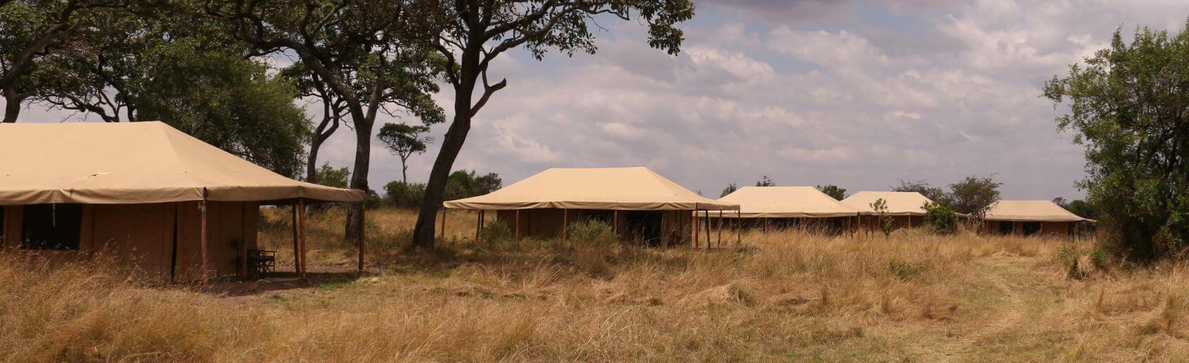 Sense of Wilderness Camp
