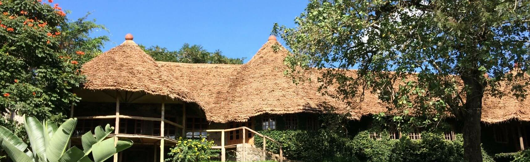 The African House