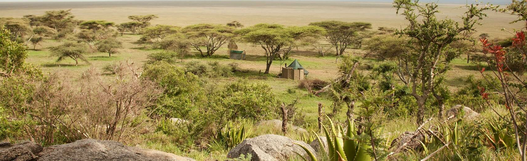 Wayo Naabi Camp
