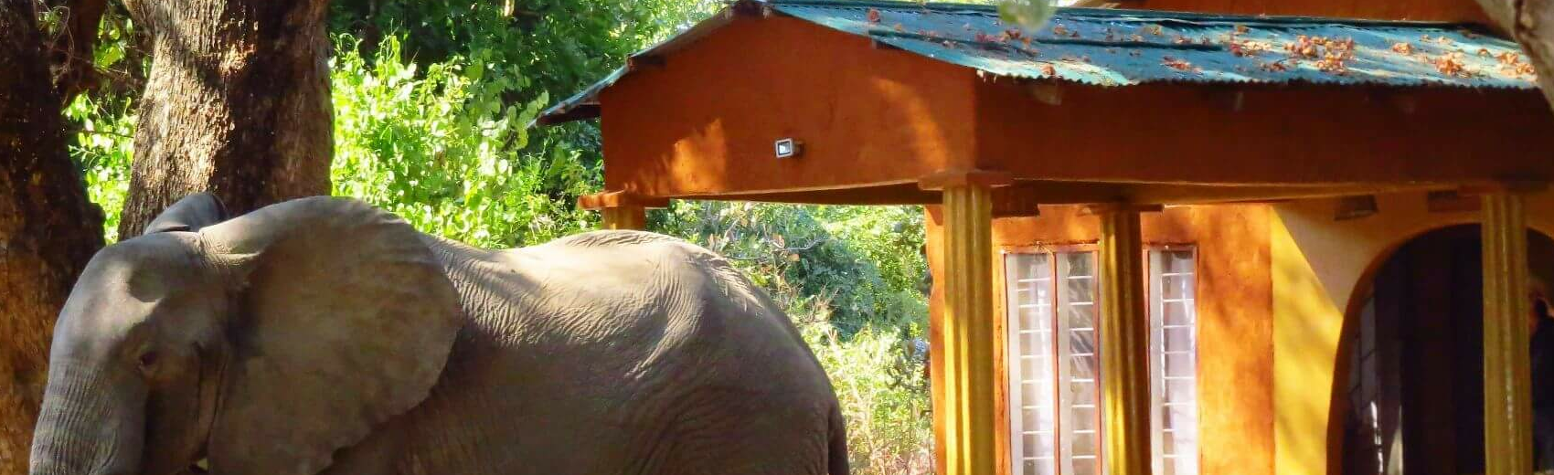Zikomo Safari Camp