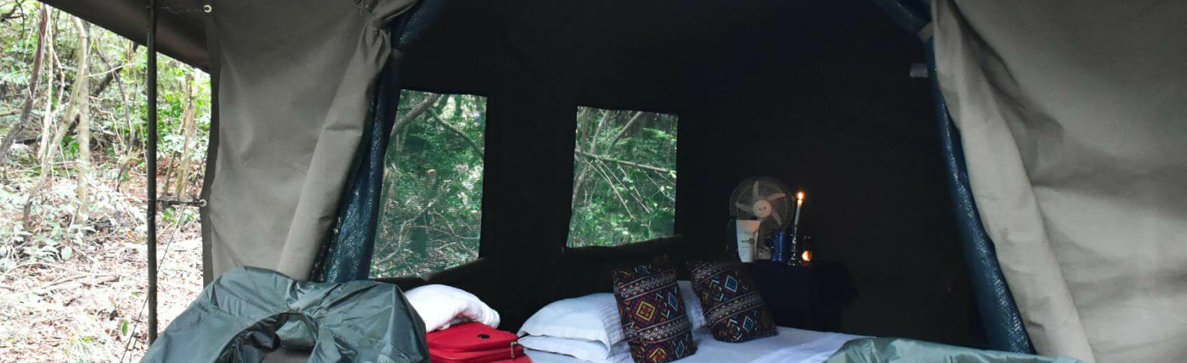 Explorer by Mahoora Sinharaja