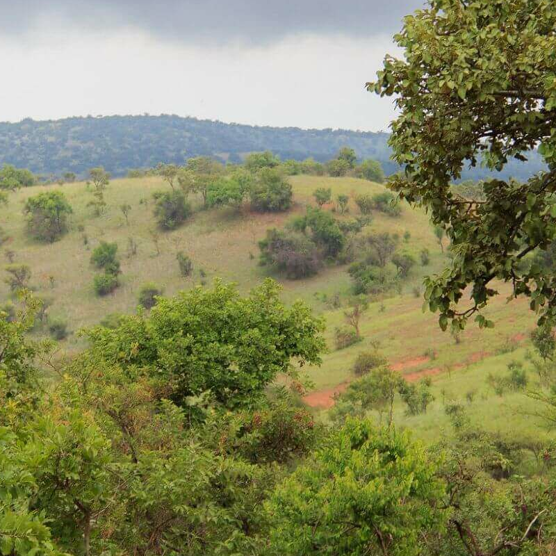 Akagera Nationalpark