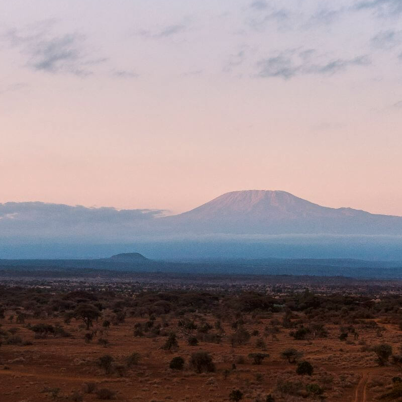 Unschlagbares Kenia